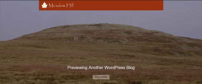 FireShot Screen Capture #021 - 'WordPress › MeadowHill « Free WordPress Themes' - wordpress_org_themes_meadowhill - コピー